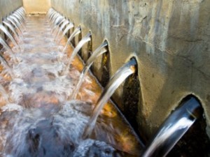Removing Heavy Metals from Waste Water
