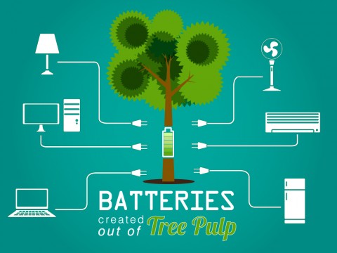batteries-created-outof-tree-pulp-image